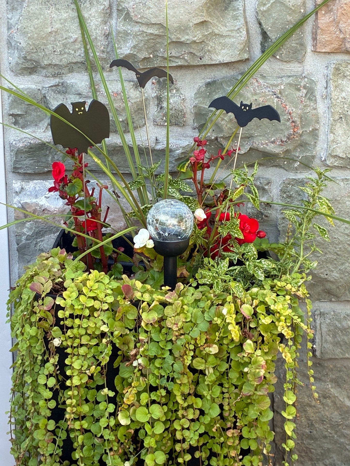 Halloween Planter Decoration Bat Bundle